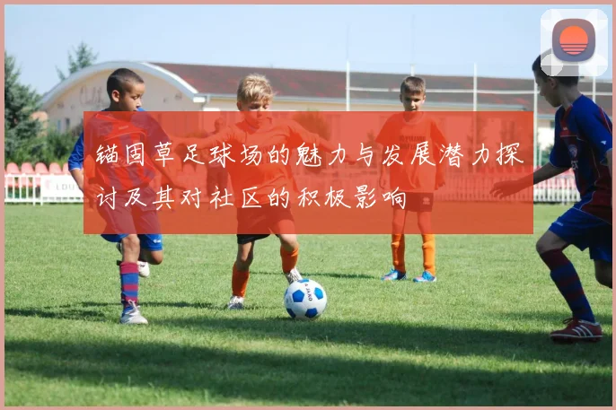 锚固草足球场的魅力与发展潜力探讨及其对社区的积极影响
