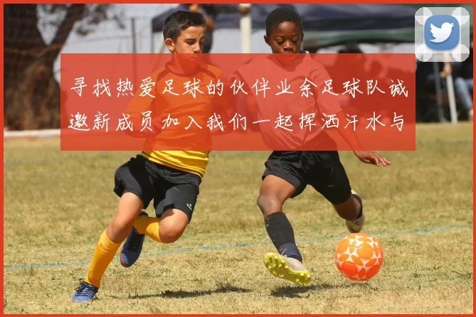 寻找热爱足球的伙伴业余足球队诚邀新成员加入我们一起挥洒汗水与激情