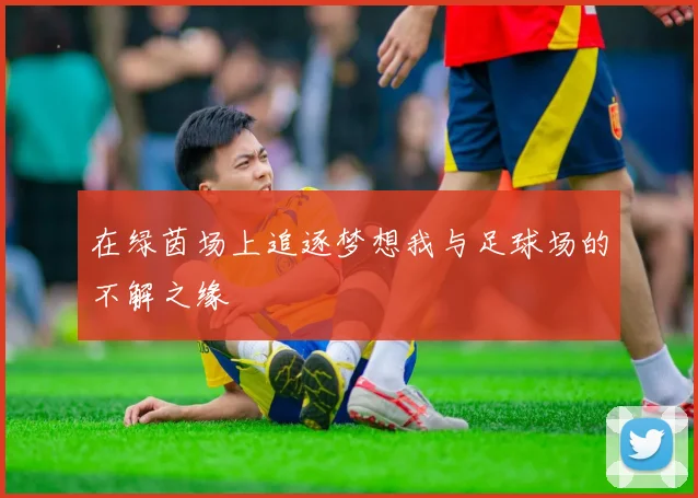 在绿茵场上追逐梦想我与足球场的不解之缘