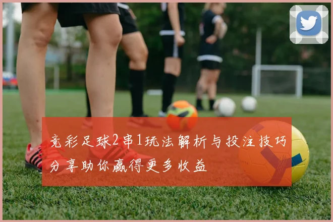 竞彩足球2串1玩法解析与投注技巧分享助你赢得更多收益